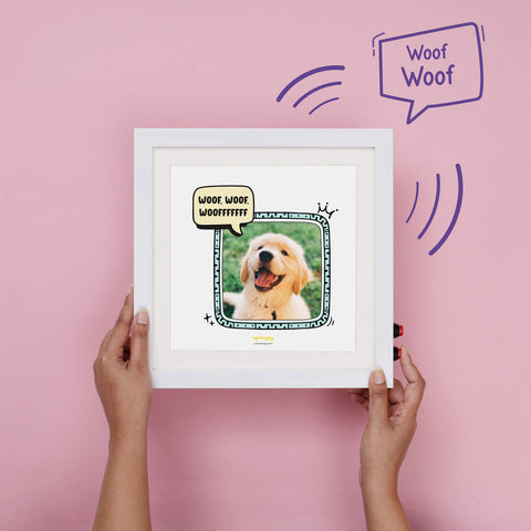 Pet Frame Audio