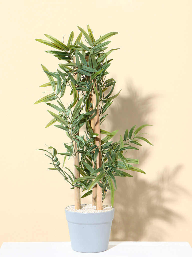 Westside Home Green Bamboo Plant - Medium