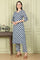 Blue Floral Printed Cotton Blend Straight Kurta And Pants Co-Ord Set