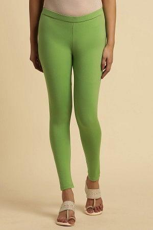 Pear Green Knitted Tights