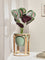 Westside Home Calathea Decorative Plant