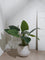 Westside Home White Marble Planter