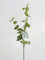 Westside Home Green Eucalyptus Artificial Plant