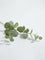 Westside Home Green Eucalyptus Artificial Plant