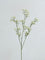 Westside Home White Gypsophila Artificial Flower