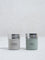 Westside Home Grey & Green Stainless Steel Salt and Pepper Container