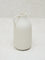 Westside Home White Jug Vase- Small