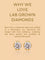 Brilliant Solitaire Lab Diamond Earrings