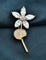 Zirconia Flower Gold Polish Brooch