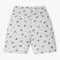 Boys Crew Neck T-Shirt And Shorts All Over Printed Sleepwear Set