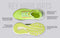 Begin Walk Pulse For Women : Neon Green