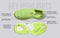 Begin Walk Breeze for Women : Lime Green