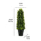 Boxwood Hilly Potted Plant (Green)