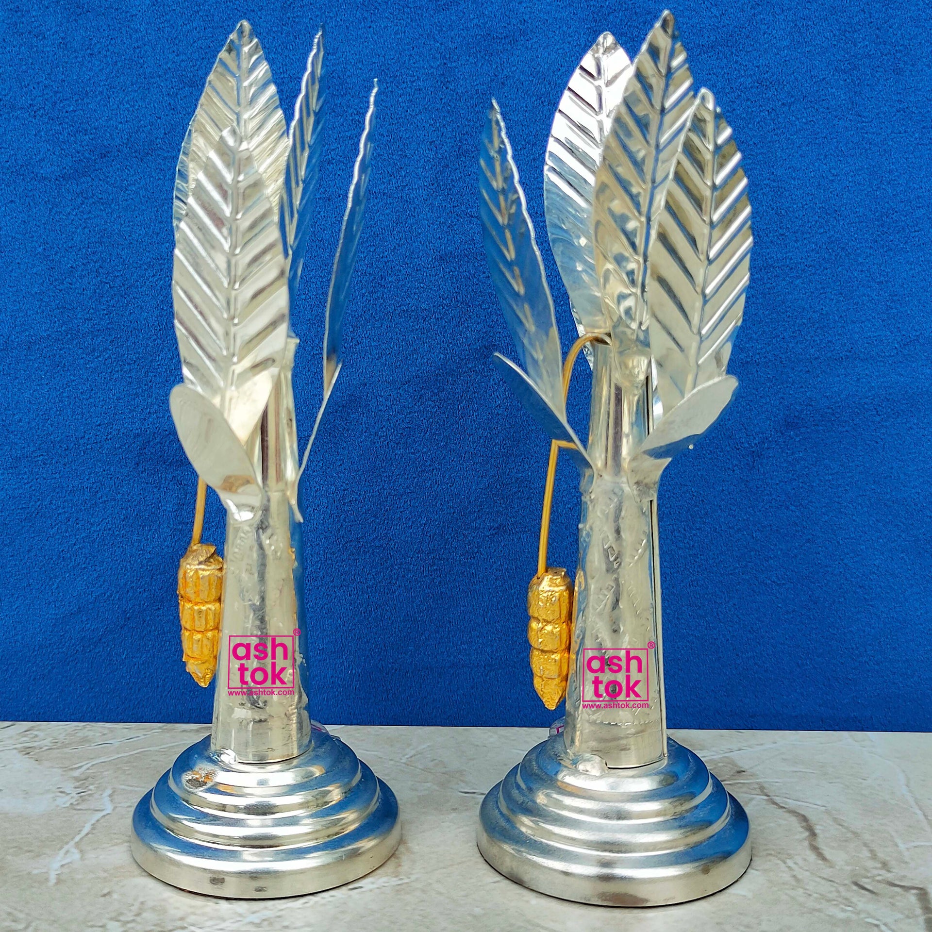 German Silver Tree, Banana Tree Height - 6 Inches (Pack of 2 Pcs)