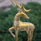 Wooden Golden Deer