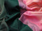 Pure kanjivaram silk saree dark green and light pink with allover zari weaves in borderless style