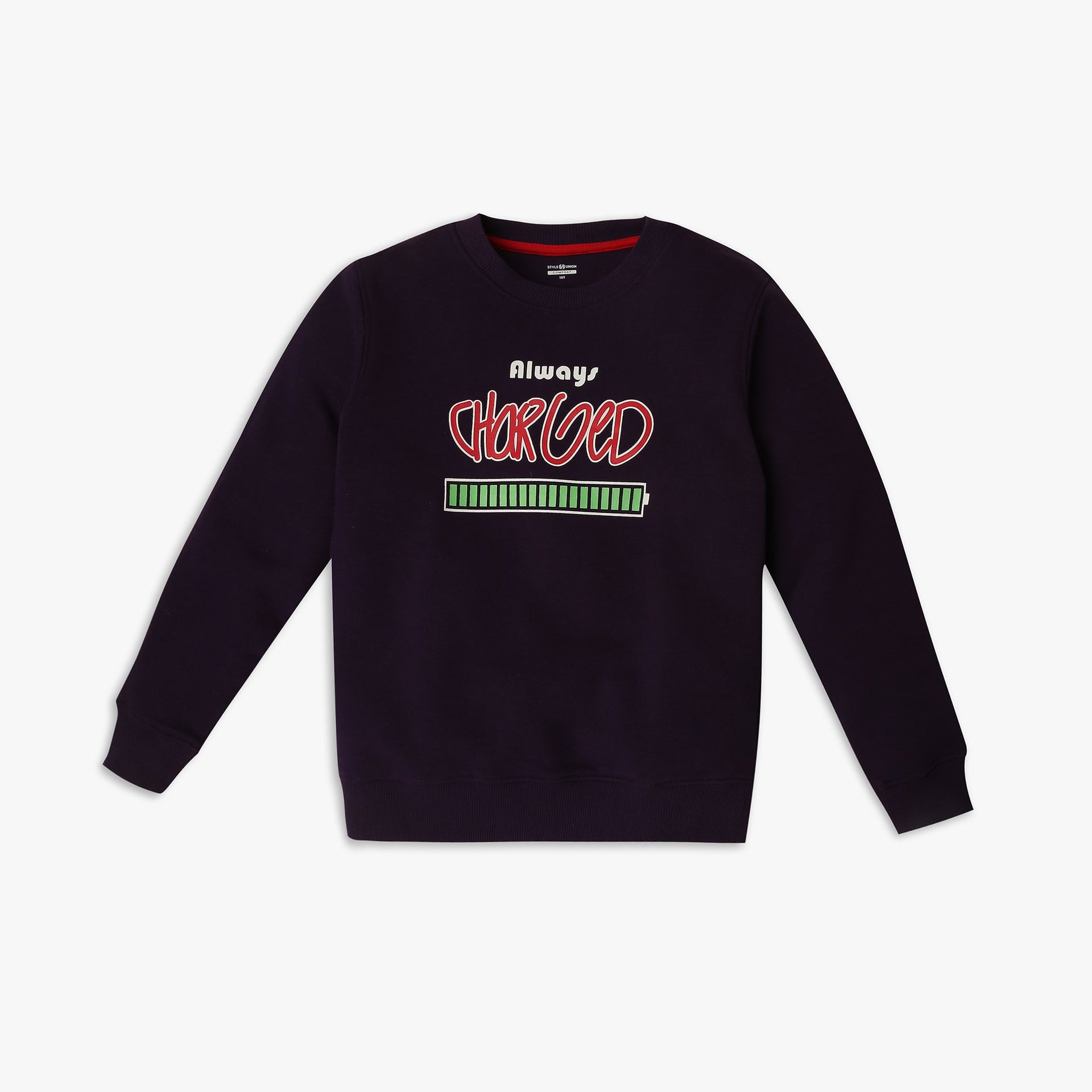 Boy's Regular Fit Printed Sweat Tee