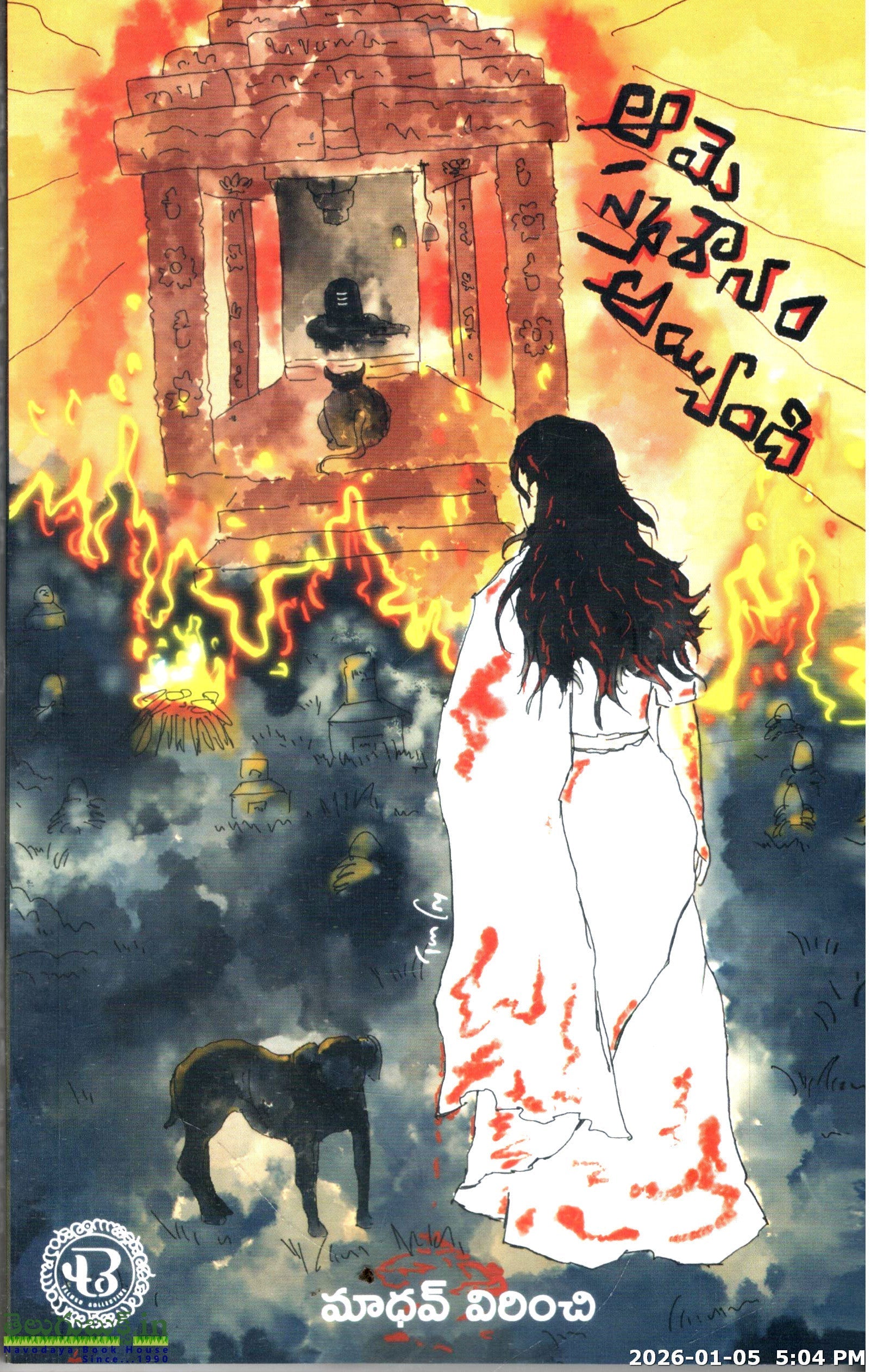 Aame Smashaanam Ayyindi