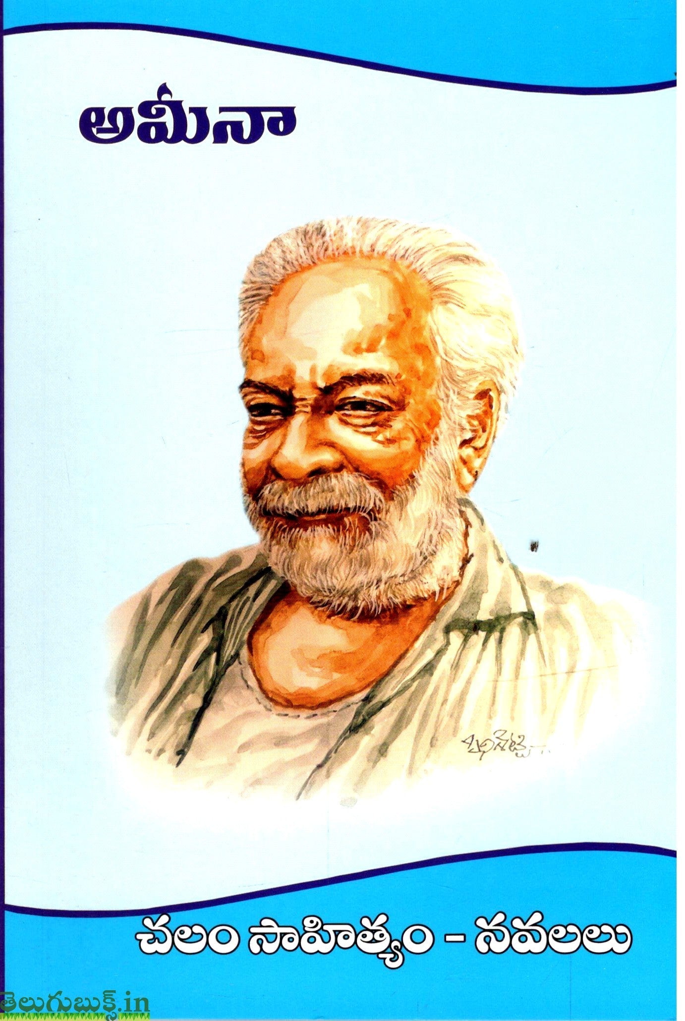 Ameena-Chalam Sahityam Navalalu