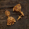 Antique Earring 169540