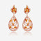 Meenakari Zircon Earring 169716